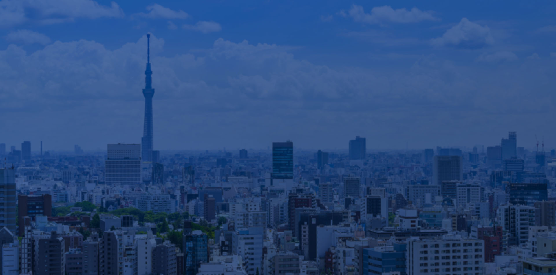 仮想通貨詐欺被害調査相談窓口